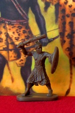 Nubian Warrior