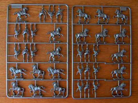 Scots Greys