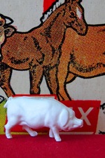 Pig