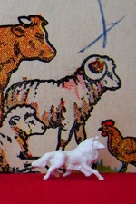 Sheep dog