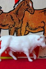 Bull