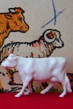 Cow