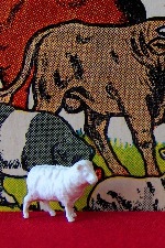 Sheep