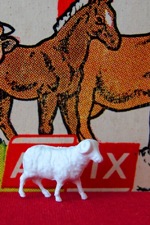 Ram