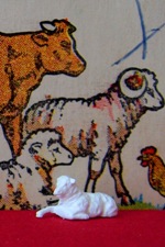 Sheep